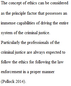 Ethics And Criminal Justice Professionals